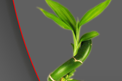 AvocatLine
